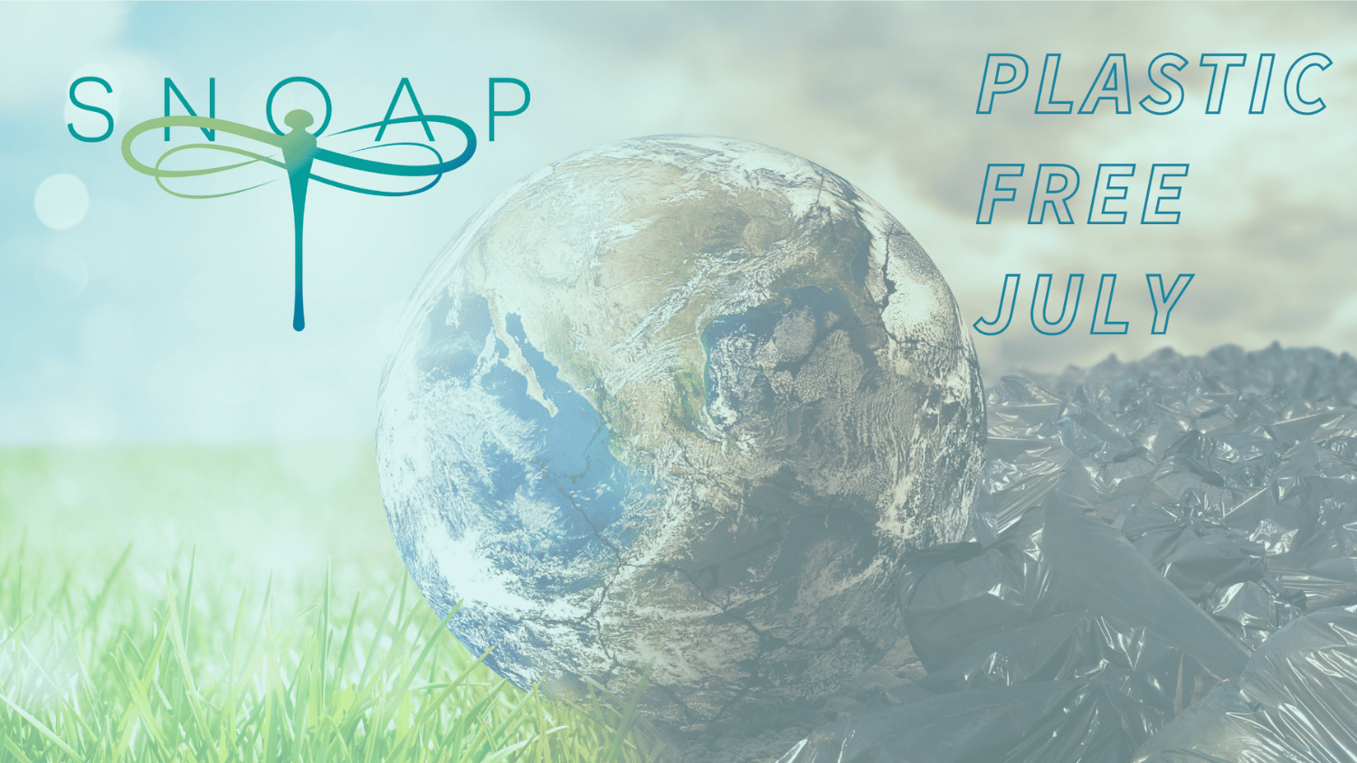 Plastic Free July: Join SNOAP in reducing plastic pollution